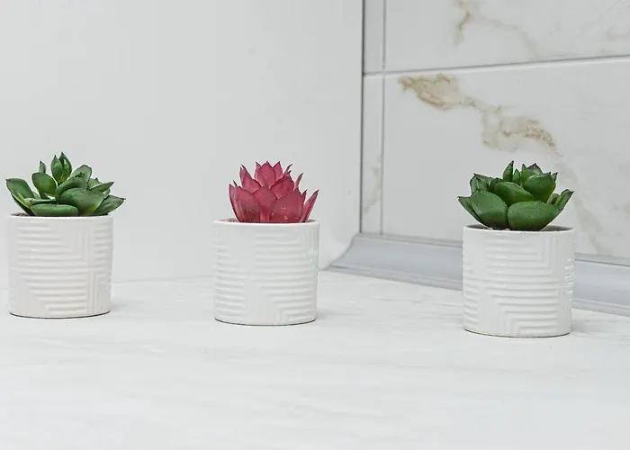 Martenovic Vrnjačka Banja